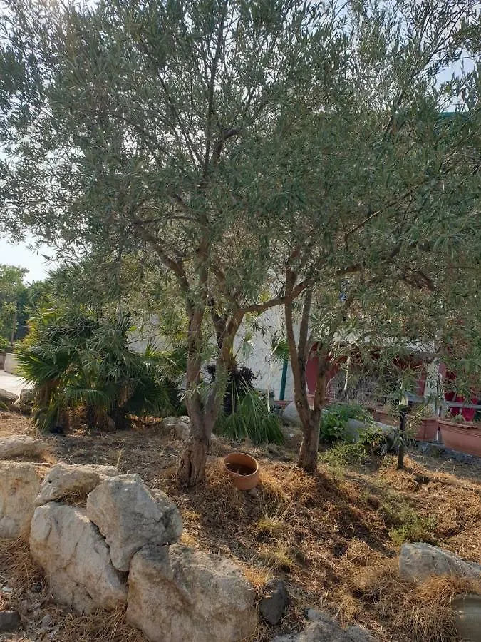 Dependance Villa Elisabetta Tremestieri Etneo 0*,