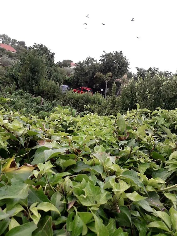 Holiday home Dependance Villa Elisabetta Tremestieri Etneo